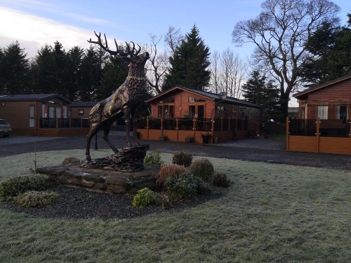 12 Burnside Lodge Auchterarder Exterior photo